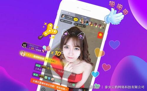 直播网红甜菜的爆料视频,网红幕后故事大曝光 第1张 直播网红甜菜的爆料视频,网红幕后故事大曝光 第1张